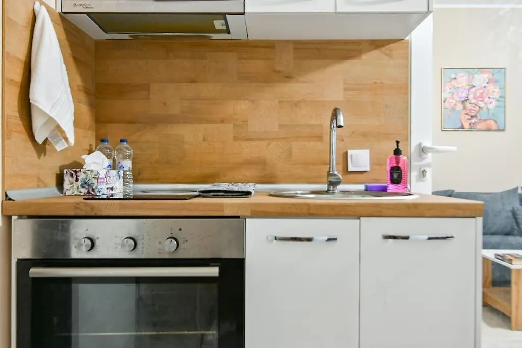 Modern Apartment In A Top Area Sofia Bulgaria