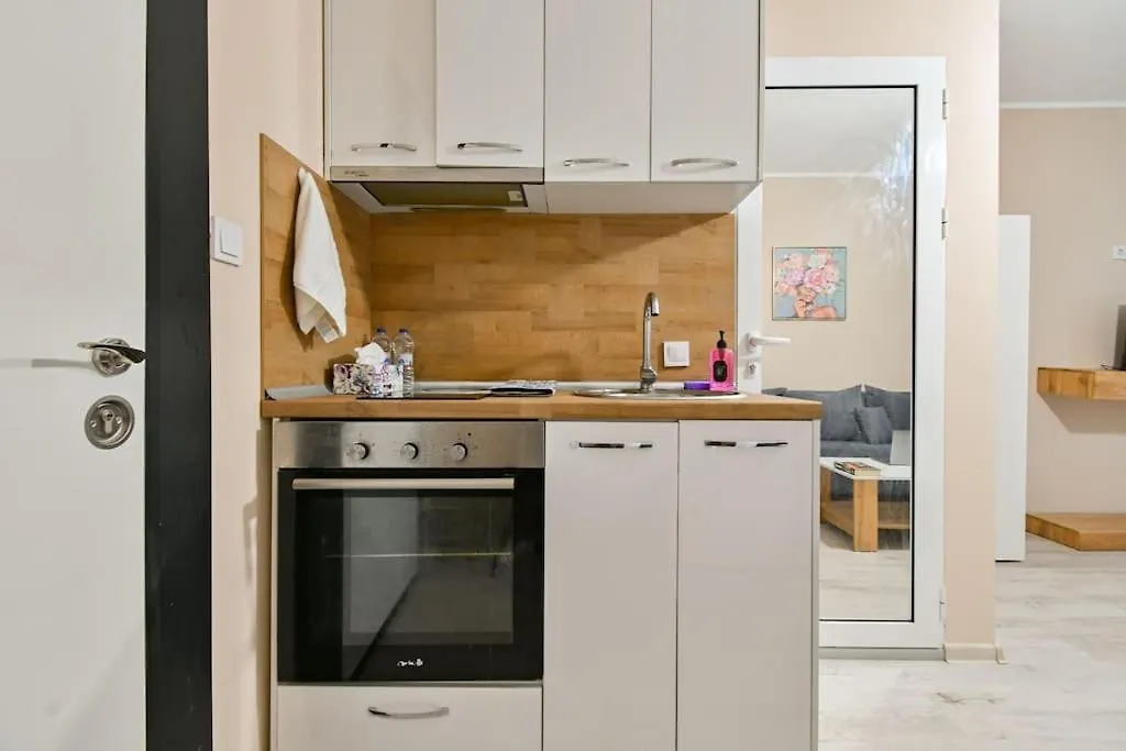 Modern Apartment In A Top Area Sofía