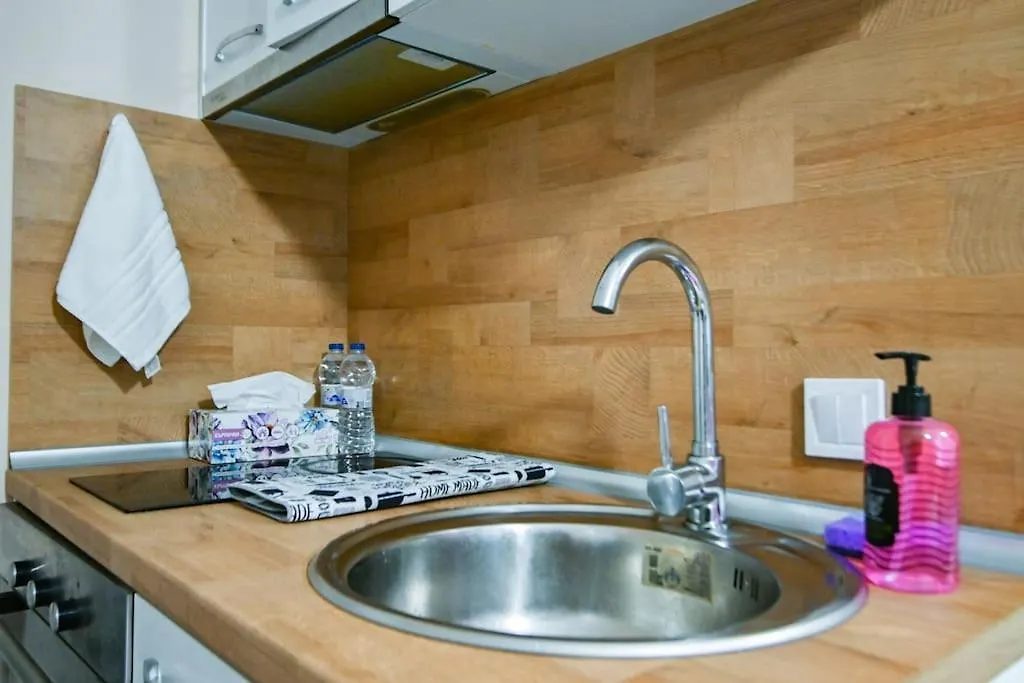 Modern Apartment In A Top Area Sofía